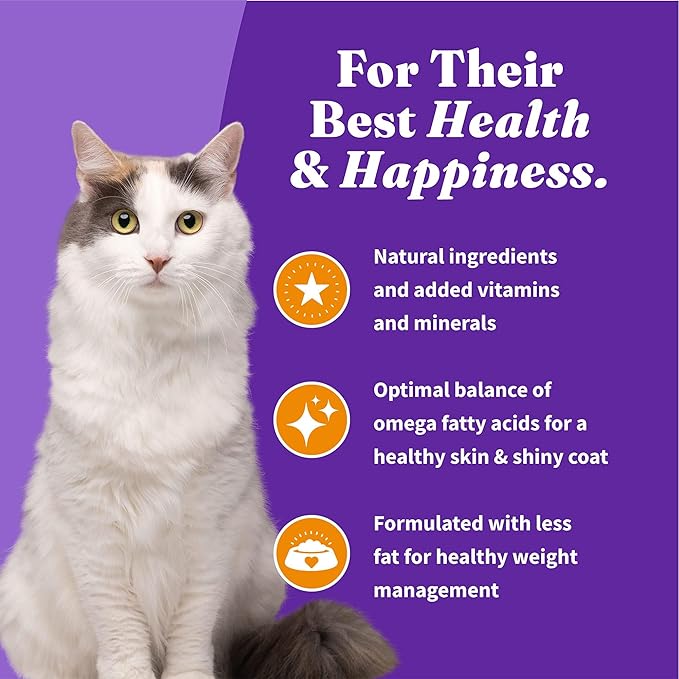 Halo Holistic Cage Free Chicken Cat Food, Grain Free Dry Cat Food, For Healthy Weight Support, Kibble for Indoor Cats, 10 lb Bag