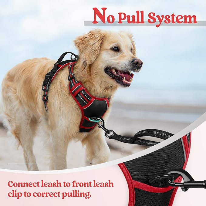 rabbitgoo Dog Harness No Pull with 2 Leash Clips, Adjustable Soft Padded, Reflective Oxford No Choke Pet Vest with Easy Control Handle for Large Dogs, Black & Red, L