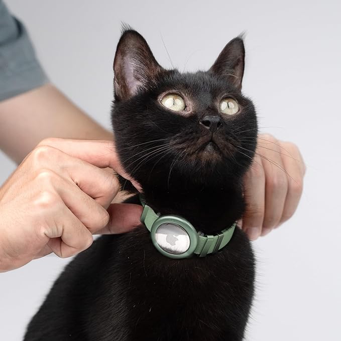 Safety Cat Collar - U.S. IDA Gold Awarding Design, Stretch Non Breakaway Elastic Quick Release, Light Weight Adjustable for Kitten, Neck Fit 7.8'-15.7' for All Small Large Cats,M(Blurple)
