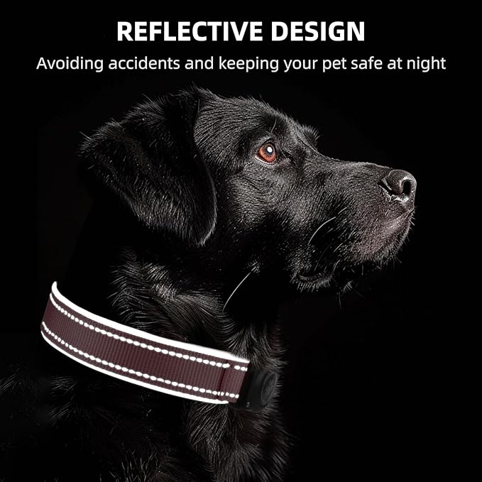 Airtag Dog Collar - 100% Waterproof Air tag Dog Collar Holder for Apple AirTag, Reflective, Soft Padded, Everlasting, GPS Dogs Collar for Small Medium Large Dogs (Pink, M)