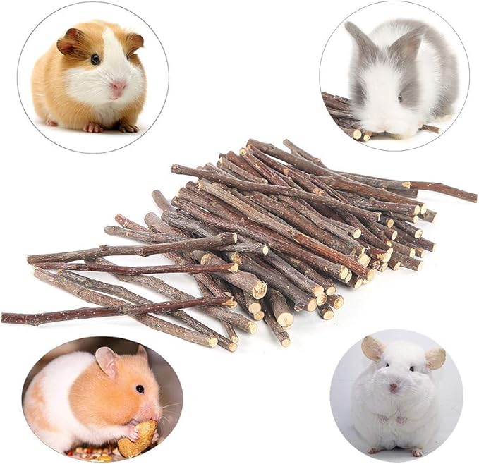 250g Apple Sticks Small Animals Molar Wood Treats Toys for Rabbits Chinchillas Guinea Pig Hamster Gerbil Parrot Bunny and Small Animals Chew Stick Toys Treats
