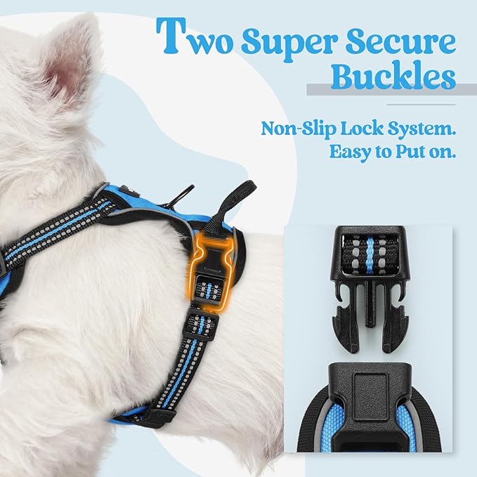 rabbitgoo Dog Harness No Pull with 2 Leash Clips, Adjustable Soft Padded, Reflective Oxford No Choke Pet Vest with Easy Control Handle for Puppy, Blue, XS