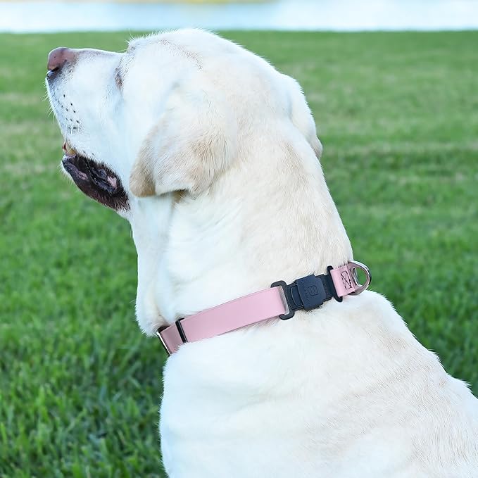 Dogline Biothane Waterproof Dog Collar with Herm Sprenger Black Stainless Steel Quick Release Buckle – Heavy Duty Tactical Durable Collar for Dogs – Comfortable and Safe Pet Collar, W 3/4" L 12-19"