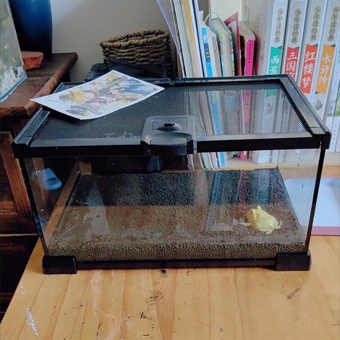 Mini Reptile Glass Terrarium Tank, cage for Tarantula Sling Geckos, Frog, Lizards, Chameleons,Turtles Snake Snail Insect Hermit Crab Isopods Reptiles Enclosure (12x8x6inch)