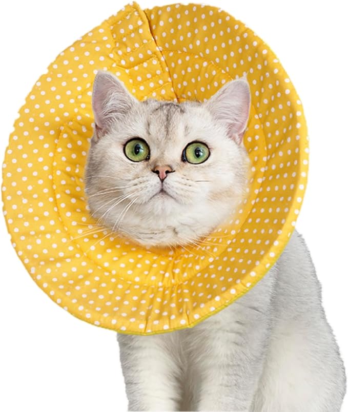 Elizabethan Collar (美/首巻/黄/M)