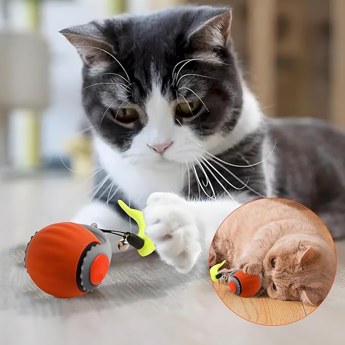Speedy 3.0 Ball, Smart Interactive Cat Toy Balls, Automatic Rolling Ball 2.0 Enrichment Toy, with Tail Two Speed Adjustment (Orange + Blue)