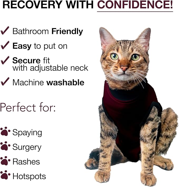 Bellyguard Cat Recovery Suit Female and Male, Comfy Onesie After Surgery, Kitten Clothes for Post-Op Care, Neuter and Spay Healing Outfits for Cats Only – Comfortable Kitten and Adult Cone Alternative
