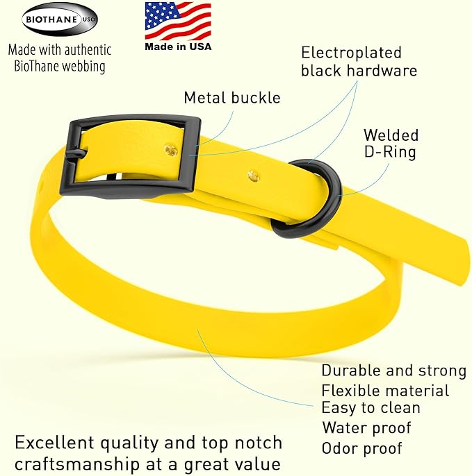 Dogline Biothane Waterproof Dog Collar Strong Coated Nylon Webbing with Black Hardware Odor- Proof for Easy Care Easy to Clean High Performance Fits Small Medium or Large Dogs, Lemon Yellow