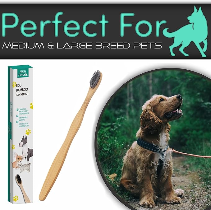 H&H Pets Bamboo Toothbrush Set for Dogs and Cats - Ultra Soft Bristles & Biodegradable Wooden Toothbrush, Puppy Supplies, Dog Dental Set, Eco-Friendly Pet Supplies (Large; 8-Count Pack)