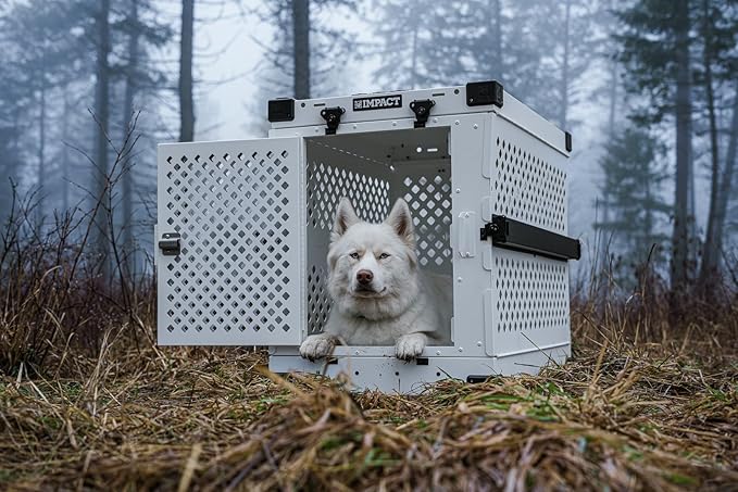 Impact Collapsible Dog Crate - Foldable Hard Crate for Intermediate Dogs - Heavy Duty Travel Kennel with Powder-Coated Aluminum - Quick Setup for Indoor & Outdoor (White, 34" (34.5" L x 23" W x 29" H)