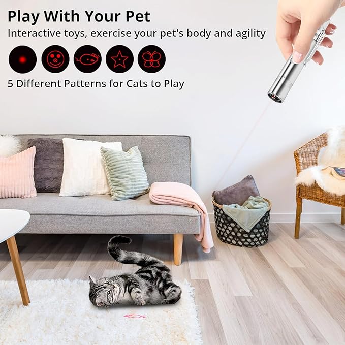 Cat Toy Pointer for Indoor Cats, 2 Pieces, USB Rechargeable Kitten Toys with 7 Adjustable Patterns, Interactive Chase Toys for Indoor Cats & Dogs, Training & Exercise Fun