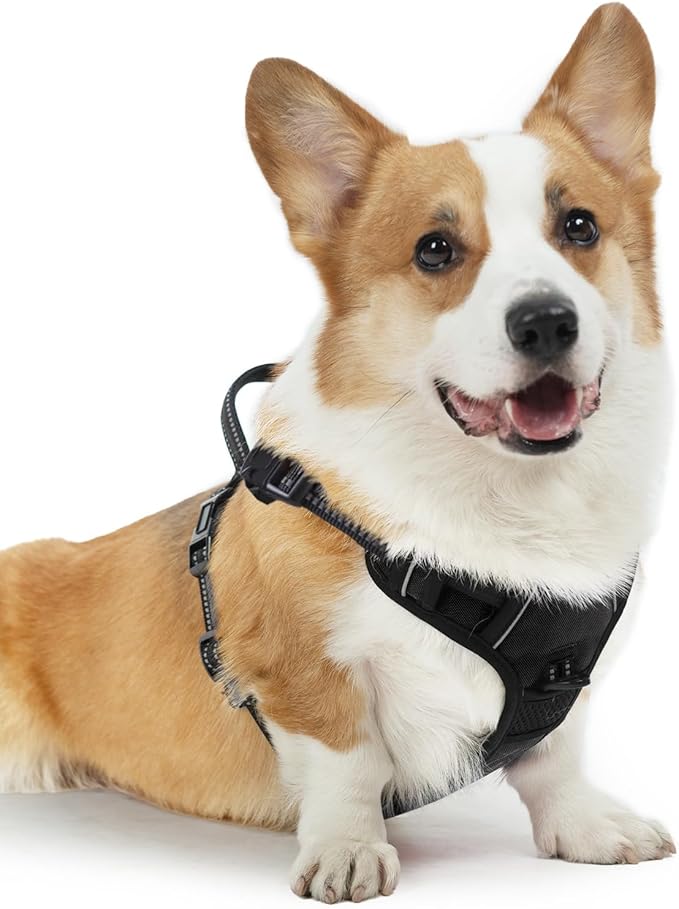 PUPTECK No Pull Dog Harness Medium Sized, Adjustable Reflective Dog Harness with Handle Easy Control, Comfortable Soft Padded Pet Vest Harness for Medium Dogs, Black M