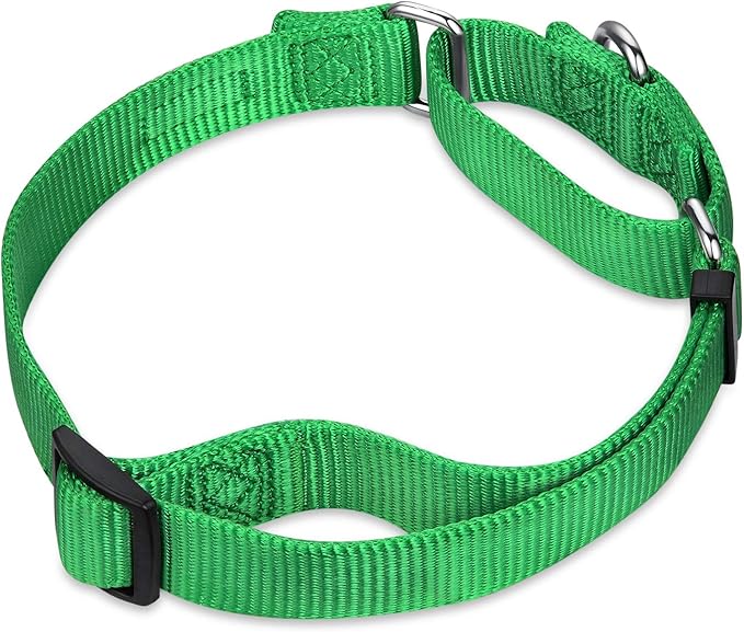 Hyhug Martingale Dog Collar Without Buckle: Escape-Proof, No Slip Heavy Duty Nylon, Colorfast Adjustable Pet Supplies for Large Breeds(Large, Lime Green)