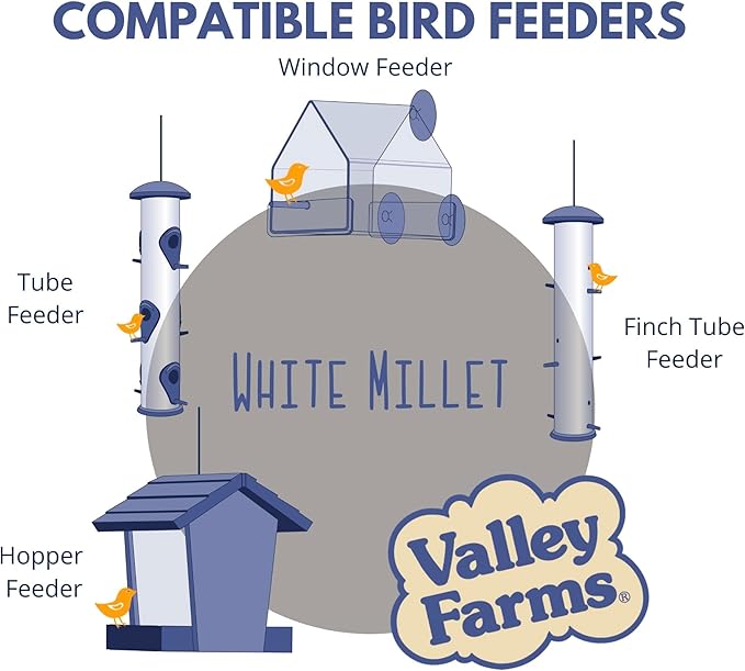 Valley Farms White Millet Wild Bird Seed (5LB) for Outside feeders, White proso Millet, Bird Watcher Secret Wild Bird Food to Attract Colorful Painted Buntings in Southern USA
