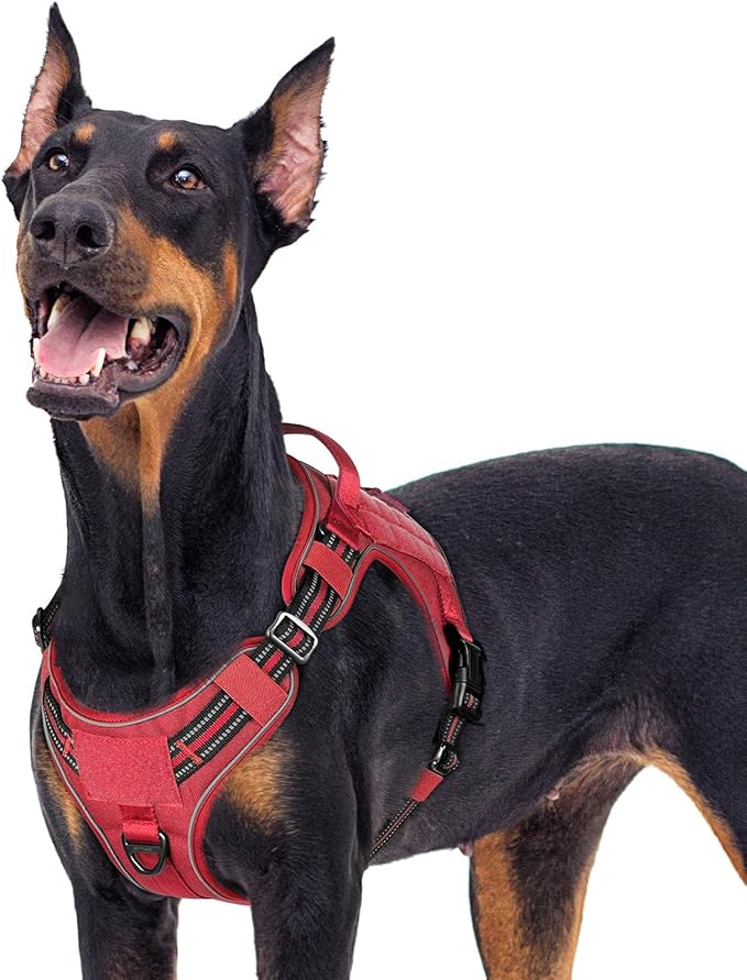 rabbitgoo Dog Harness for Large Dogs No Pull, Tactical Service Pet Vest with Molle and Control Handle, Adjustable and Reflective Military Harness for Easy Walking and Training, Red, XL