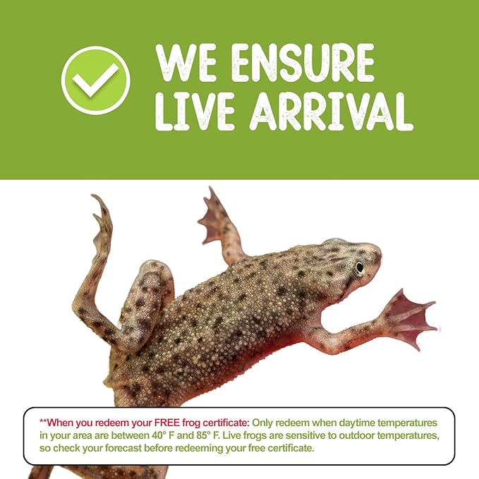 African Dwarf Frog Starter Kit- Includes Certificate for 2 Live Frogs- All-in-One Bundle with Book, Small Aquarium, Food, Instructions Now