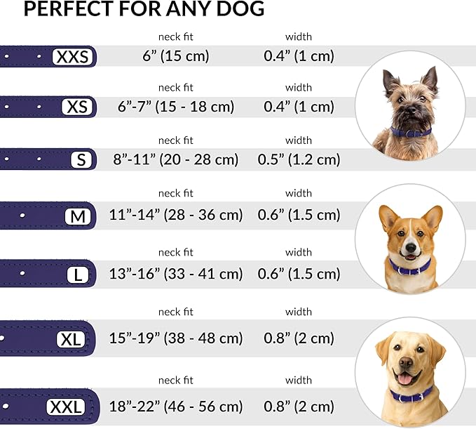 CollarDirect Rolled Leather Dog Collar, Soft Padded Round Puppy Collar, Handmade Genuine Leather Collar Dog Small Large Cat Collars 13 Colors (6 Inch, Purple Smooth)