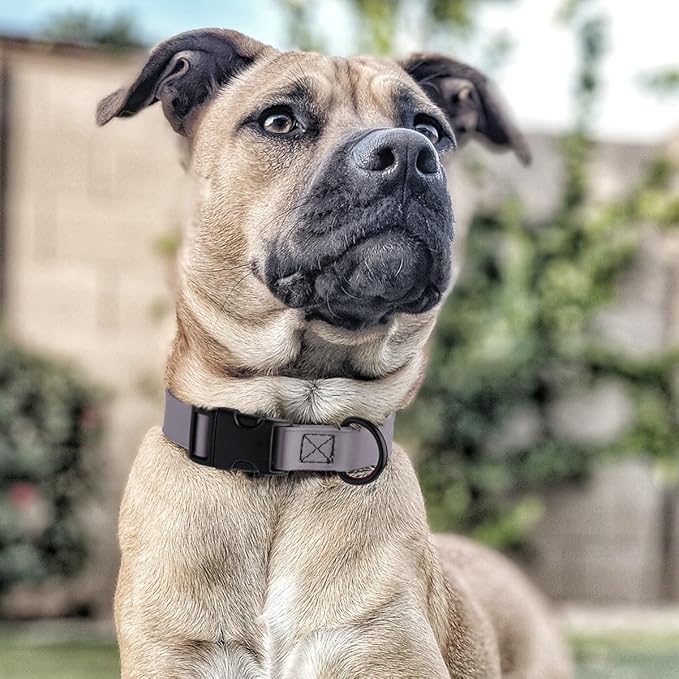 Dogline Biothane Waterproof Dog Collar with Quick Release Buckle Strong Coated Nylon Webbing with Odor- Proof for Easy Care Easy to Clean Fits Small Medium Large Dogs, Grey 3/4" W 12-19" L