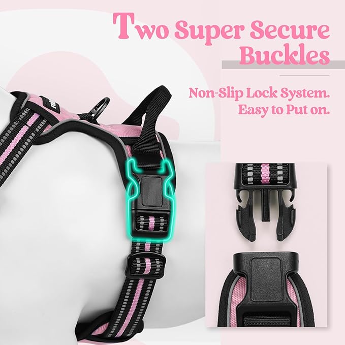 rabbitgoo Dog Harness No Pull with 2 Leash Clips, Adjustable Soft Padded, Reflective Oxford No Choke Pet Vest with Easy Control Handle for Medium Sized Dogs, Pink, M