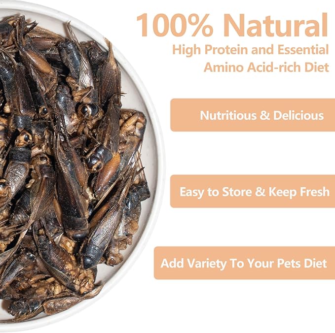 Freeze Dried Crickets – 2.8 Oz High Protein Freeze Dried Crickets, Food for Reptiles, Bearded Dragons, Lizards, Geckos, Birds, Fish,Hedgehogs, Bearded Dragon Food