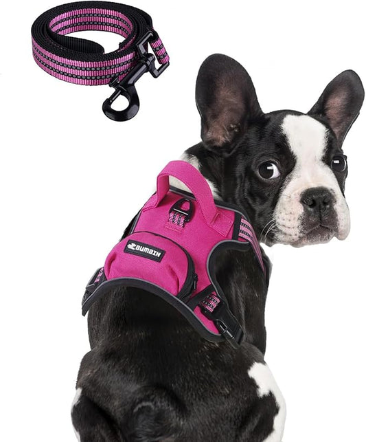 BUMBIN Dog Harness for Large Dogs, No Pull Adjustable No Choke Pet Vest with Dog Leash Fit Smart Reflective Pet Walking Harness for Training Easy Control Soft Handle Rose Red S