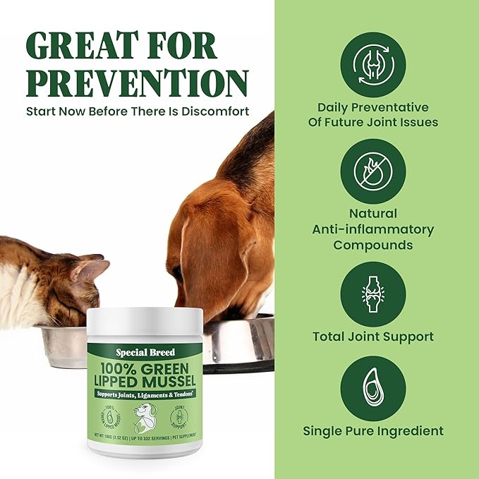 Special Breed Green Lipped Mussel Powder for Dogs & Cats - 100% New Zealand - Natural Hip & Joint Supplement for Joints, Tendons, Ligaments, Muscles - 100 Grams - Up to 332 Servings
