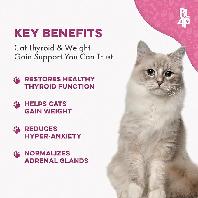 Cat Weight Gain & Hyperthyroidism Treatment, Safe and Effective Cat Appetite Stimulant, Thyroid and Metabolic Support, Weight Management Remedy, 800 All-Natural Odorless, Tasteless Pills