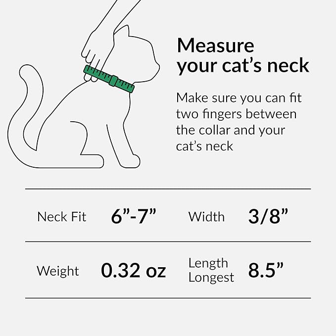 CollarDirect Leather Cat Collar with Bell - Kitten Small and Big Cat Collar for Boy Cats, Girl Cats with Safety Elastic Strap (Neck Fit 6"-7", Beige)