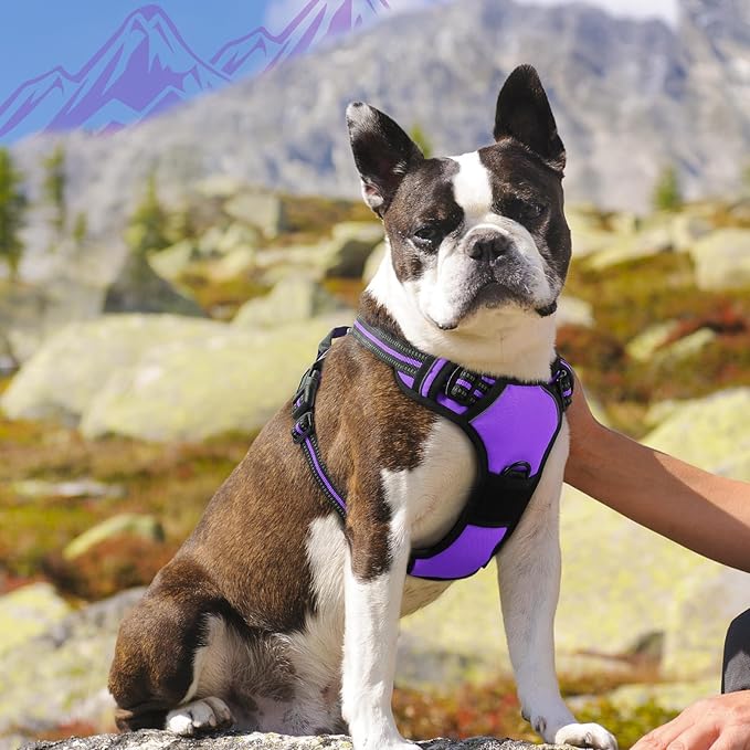 Eagloo Dog Harness Medium Sized Dog, No Pull Service Vest with Reflective Strips and Control Handle, Adjustable and Comfortable for Easy Walking, No Choke Pet Harness with 2 Metal Rings, Purple, M