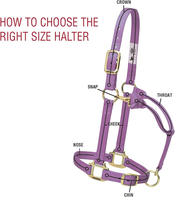 Weaver Equine Breakaway Horse Halter, Supple Leather Crown, Adjustable Chin & Throat Snap Halters for Horses, Equine Tack,Pony Size, Black