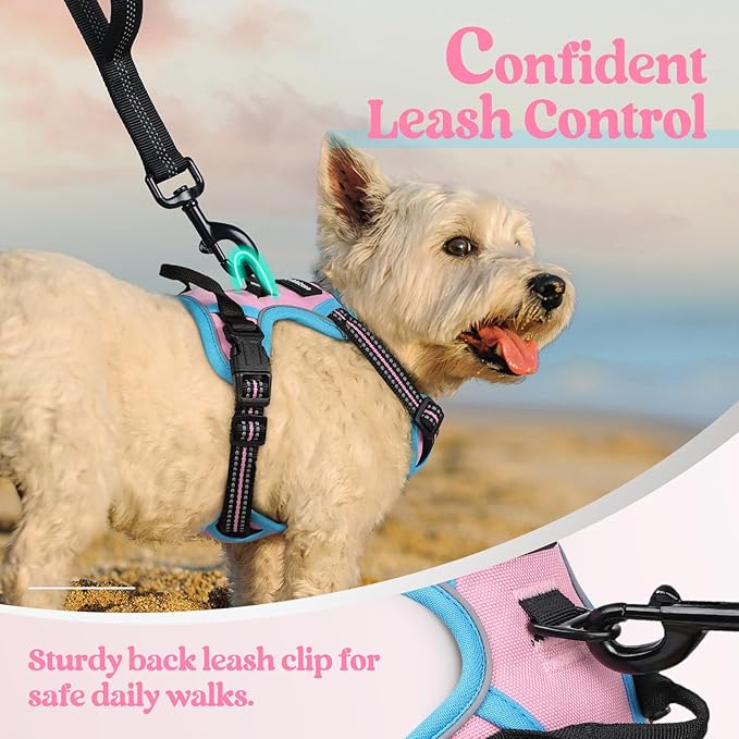 rabbitgoo Dog Harness No Pull with 2 Leash Clips, Adjustable Soft Padded, Reflective Oxford No Choke Pet Vest with Easy Control Handle for Puppy, Pink & Blue, XS