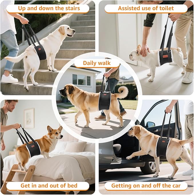 LOOBANI Portable Dog Sling for Back Legs, Hip Support Harness to Help Lift Rear for Canine Aid Old K9 Cruciate Ligament Rehabilitation