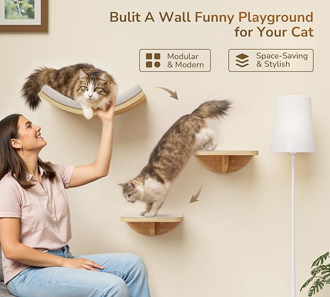 Cat Window Perches, Curved Cat Wall Beige Bed and 2 Floating Wall Steps, Wall Mounted Climbing Shelves for Sleeping, Playing, and Lounging