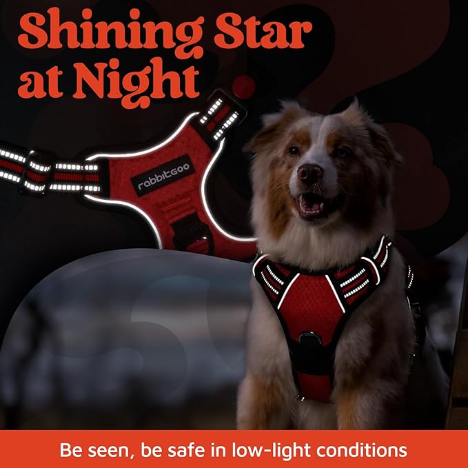 rabbitgoo Dog Harness Small Sized, No Pull Dog Vest with 3 Buckles, Adjustable Soft Padded Pet Harness with Easy Control Handle and Reflective Strips, Red, S