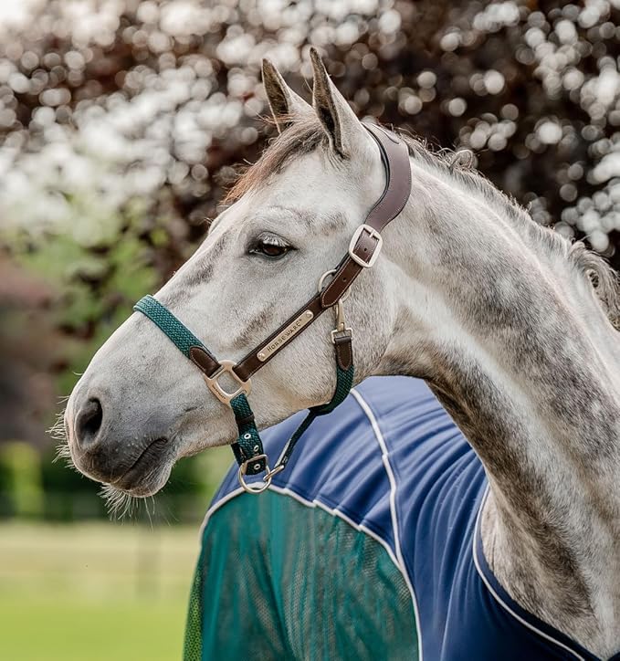 Horseware® Signature Braided Halter