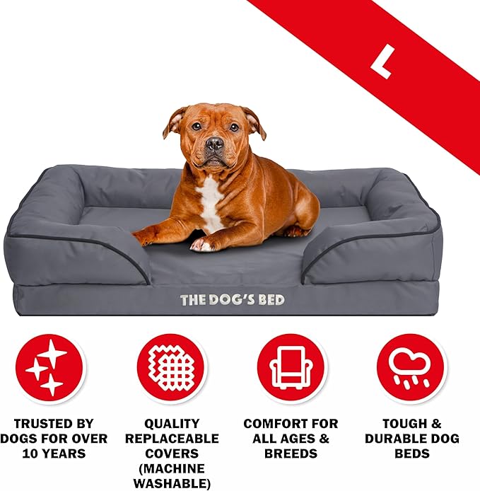 The Dog’s Bed, Orthopedic Standard Foam Waterproof Dog Bed with Standard Support, Large Grey with Black Trim, Waterproof, Supportive Dog Bed with Replaceable Covers, Veterinary Approved