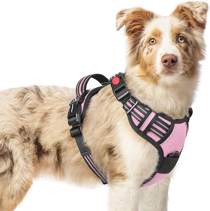 rabbitgoo Dog Harness Medium Sized, No Pull Pet Harness with 3 Buckles, Adjustable Soft Padded Vest with Control Handle, Walking Reflective Pet Vest for Medium Dogs, Pink, M