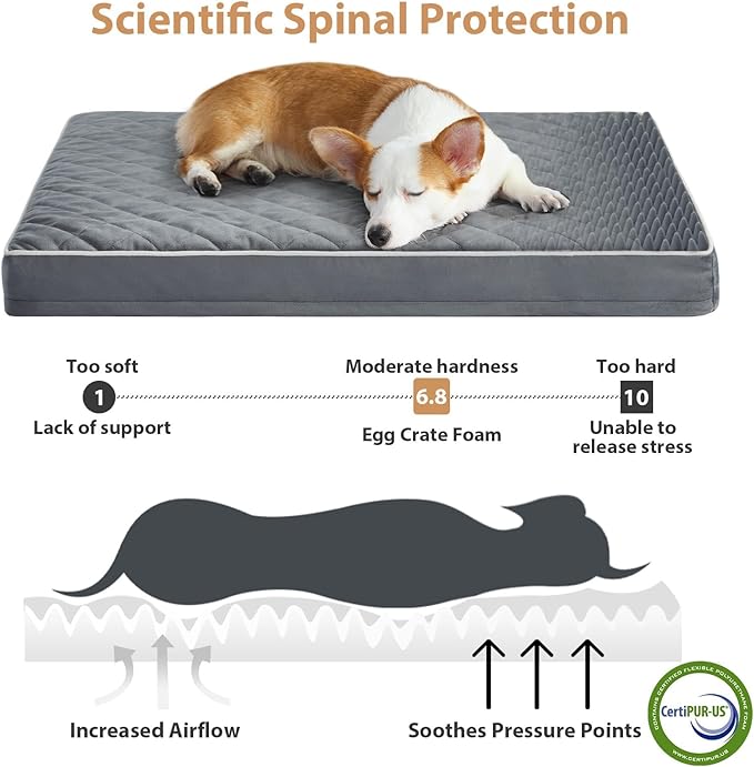 WNPETHOME Orthopedic Giant Dog Beds Large Sized Dog, Waterproof Extra Large Dogs Bed with Removable Washable Cover, Multi-Needle Quilting Dogs Crate Bed