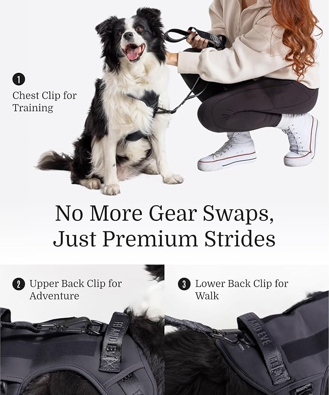 2025 New Edition, Fei & Eve MagEase Dog Harness - 3-Second Magnetic Buckles | 3-Point No-Pull Control | Heavy-Duty 900D Nylon | Dual Safety Handles | Breathable Mesh | Adjustable Fit | Medium,Black