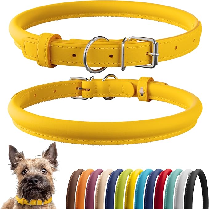 CollarDirect Rolled Leather Dog Collar, Soft Padded Round Puppy Collar, Handmade Genuine Leather Collar Dog Small Large Cat Collars 13 Colors (8-11 Inch, Yellow Smooth)