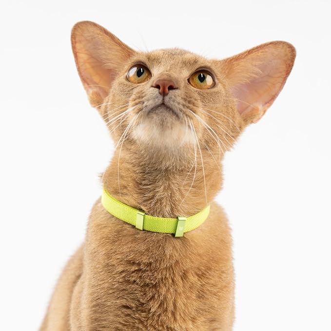 Safety Cat Collar - U.S. IDA Gold Award Design, Stretchy Elastic Quick Release Non Breakaway Cat Collar Light Weight for Kitten All Small Medium Large Cats (Burgundy, S (5.9-11.8 inch))