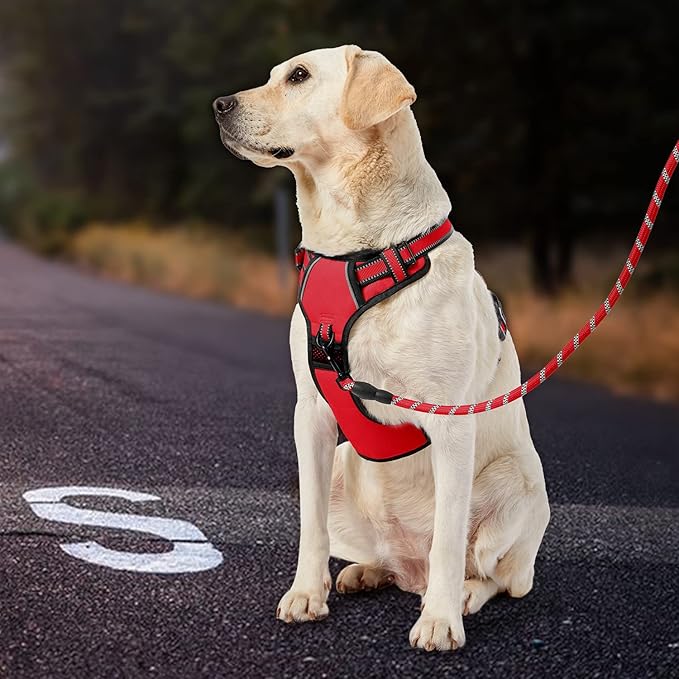IVY&LANE No Pull Dog Harness for Small Dogs, Dog Vest Harness with Leash, Safety Belt and Storage Strap, Fully Adjustable, 360° Reflective Strip, Soft Handle (Red, S)