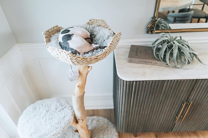 Wooden Cat Tree Tower, Modern Single Branch Cat Condo, Wood Cat Tree, Cat Climbing, Furniture for Cat, Cat Lover Gift, Cat Furniture,Cat Gift by MAU LIFESTYLE (Bullet Gray)