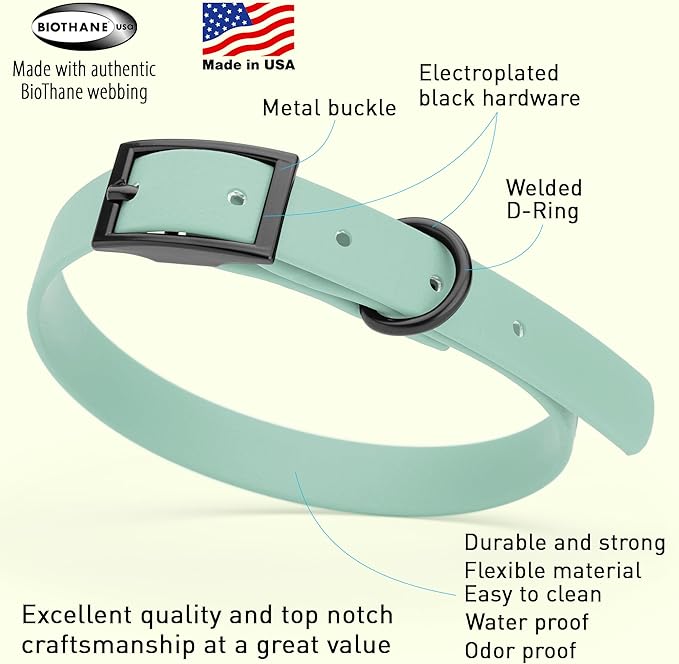 Dogline Biothane Waterproof Dog Collar Strong Coated Nylon Webbing with Black Hardware Odor- Proof for Easy Care Easy to Clean High Performance Fits Small Medium or Large Dogs, Sage Green
