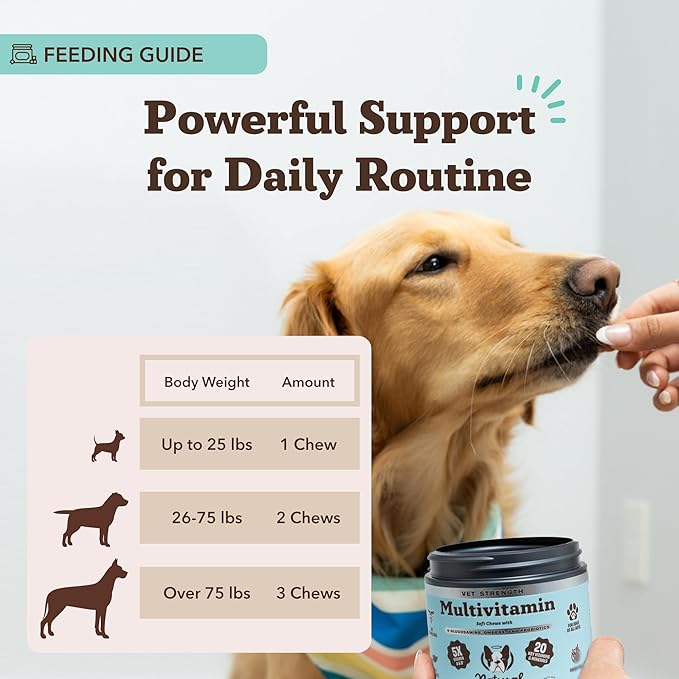Natural Dog Company Vet Strength Multivitamin Chews for Dogs – Glucosamine, Omega-3 & Biotin for Dogs, Skin & Coat Health, Digestive Health, Immune Support Supplement, Advanced Formula, 90 cnt