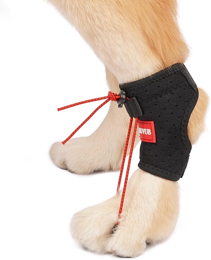 Dog Canine Knuckling Brace Rear Leg Dog Foot Brace Wrap for Toe Dragging Cause by Sciatic Nerve Insufficiency, Myelopathy, Herniated Disc (Small)