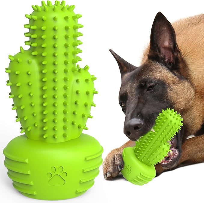 Dog Chew Toys Dog Toothbrush Stick Teeth Cleaning Brush Dental for Small Medium Large Dog, Rubber Squeaky Toys for Aggressive Chewers Cactus Tough Toys