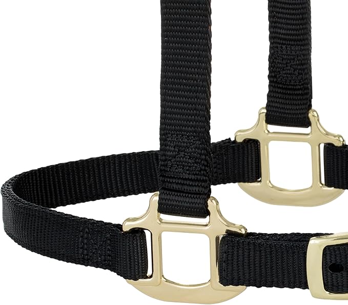 Weaver Equine Breakaway Horse Halter, Supple Leather Crown, Adjustable Chin & Throat Snap Halters for Horses, Equine Tack,Pony Size, Black