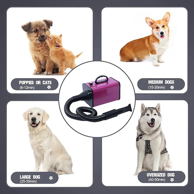 2400w 75m/s Dog Dryer for Pet Grooming, High Velocity Pet Hair Dryer with Heater, Adjustable Speed, 4 Nozzles and a Comb, Purple