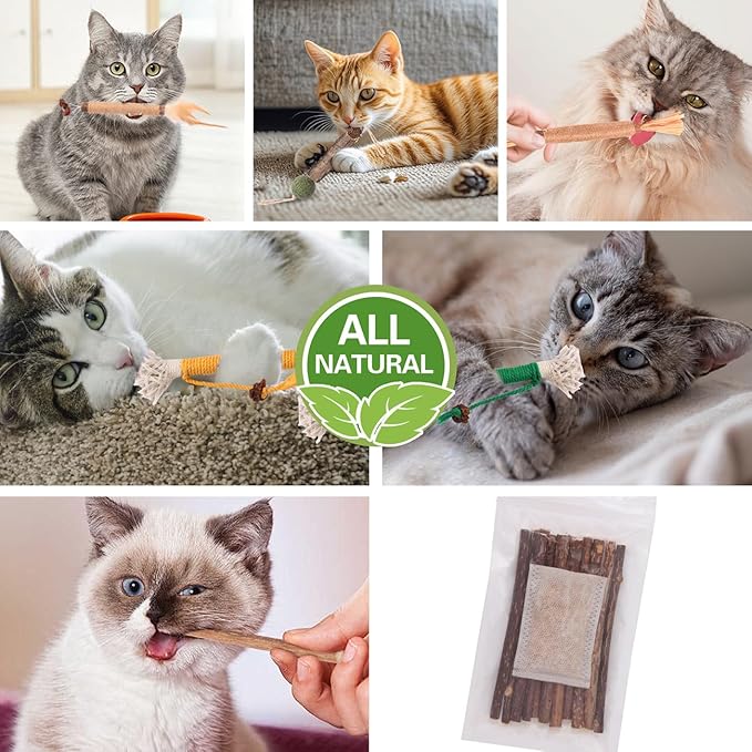 Cat Toys Cat Chew Toys, Silvervine Sticks Catnip Rope Toys for Cats Teeth Cleaning, Kitten Dental Care, Kitty for Indoor Cats Increase Appetite,Enhances Oral & Dental Health (20 Pack)